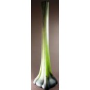 Magnifique vase berluze en pâte de verre Daum collection Majorelle 70 cm