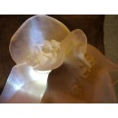 Vase "Rose" en Pâte de Verre - Daum France - Hauteur 24 cm - Parfait état avec boîte d'origine