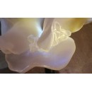 Vase "Rose" en Pâte de Verre - Daum France - Hauteur 24 cm - Parfait état avec boîte d'origine